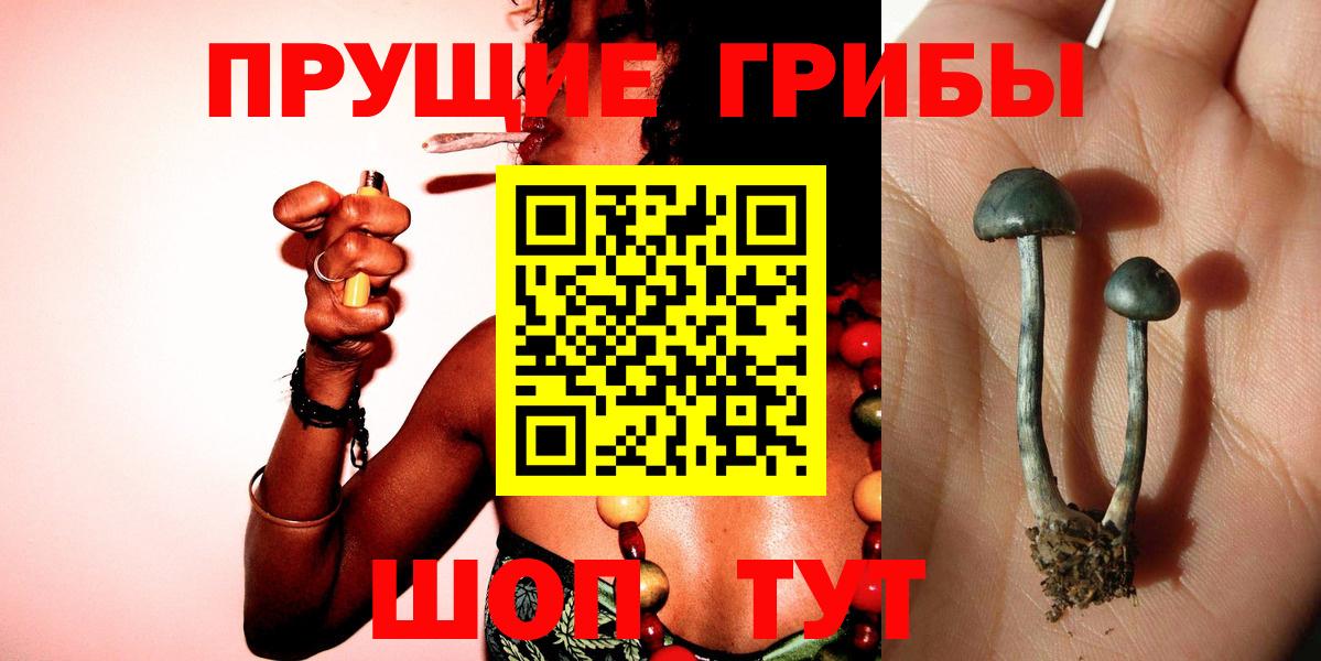 Галлюциногенные грибы Magic Shrooms Нефтекумск